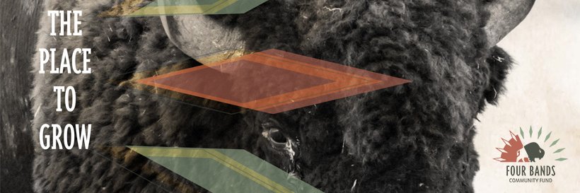 Four Bands Community Fund banner