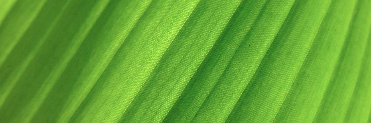 RLifeEssentials's profile banner image