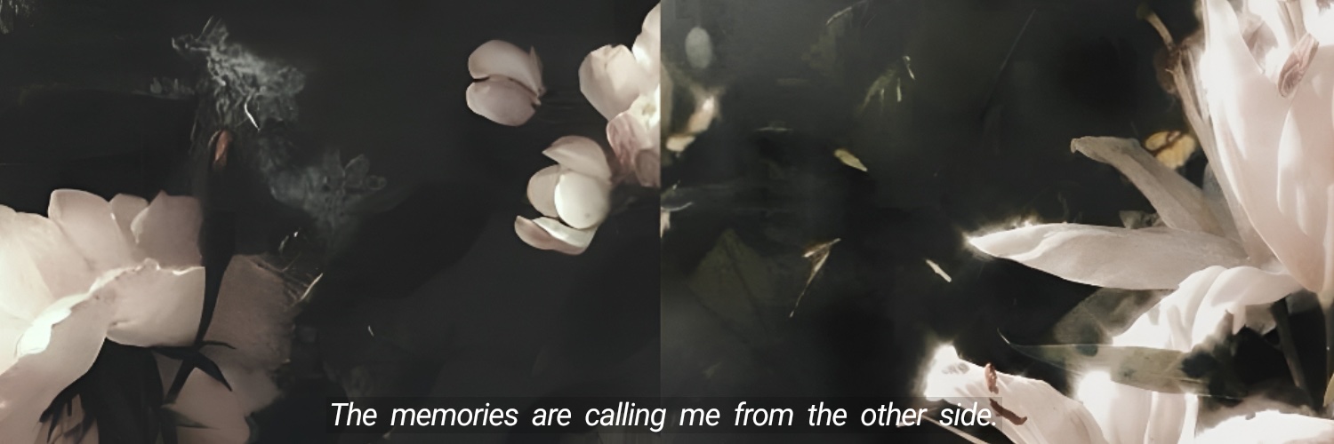 ningningm's profile banner image