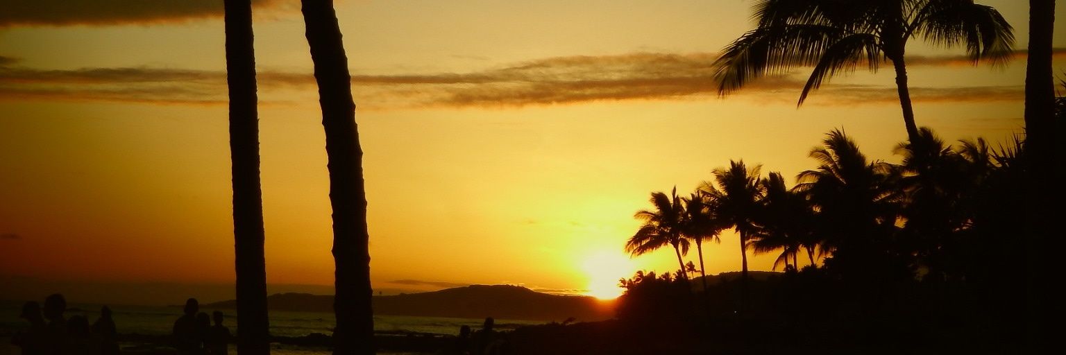 SweetButterFlii🦋 banner