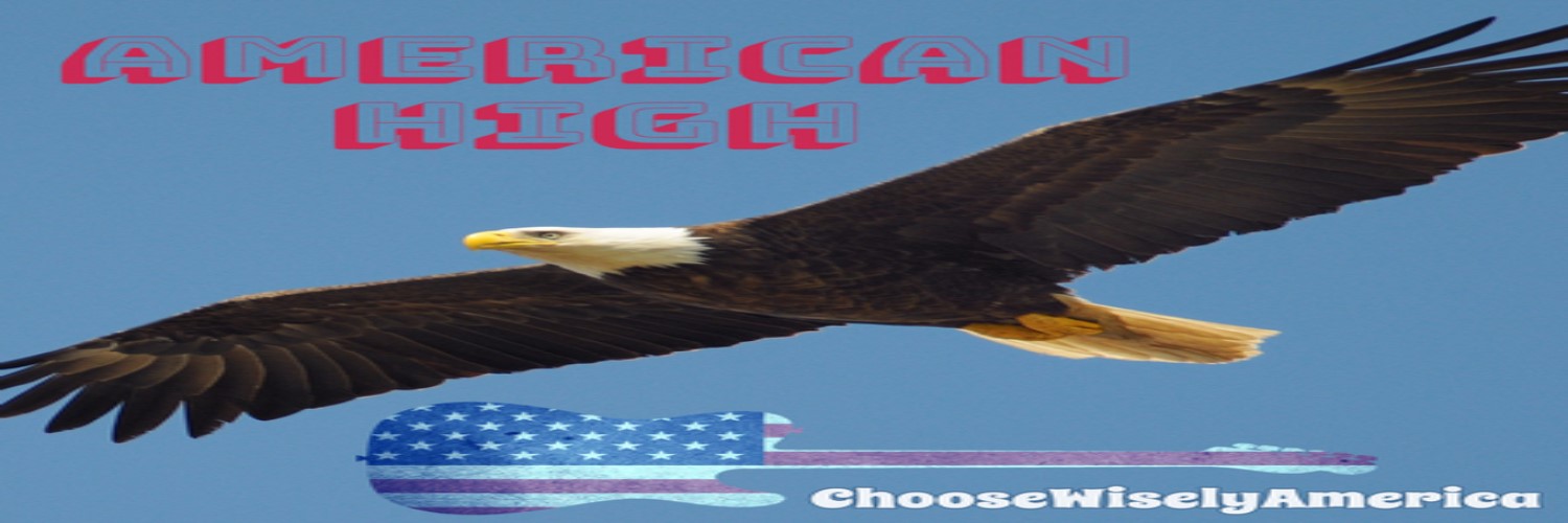 ChooseWiselyAmerica Profile Banner