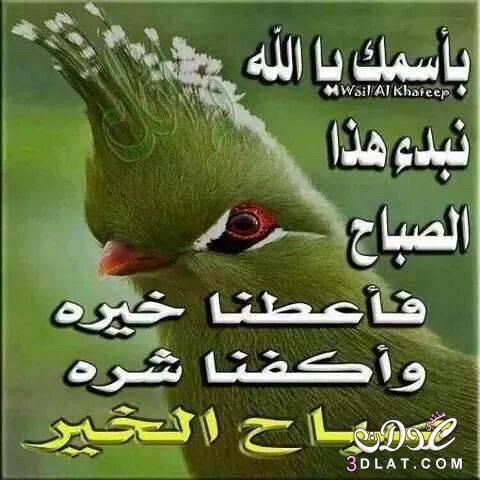 hussen1381's profile banner image