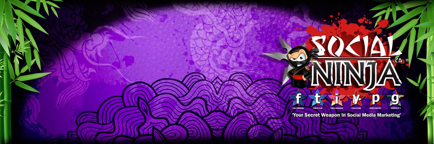 SocialNinjaCA's profile banner image