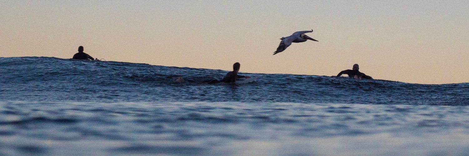 Dr. Chase James banner