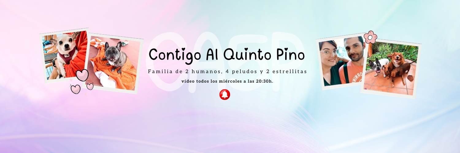 ContigoAl5Pino's profile banner image