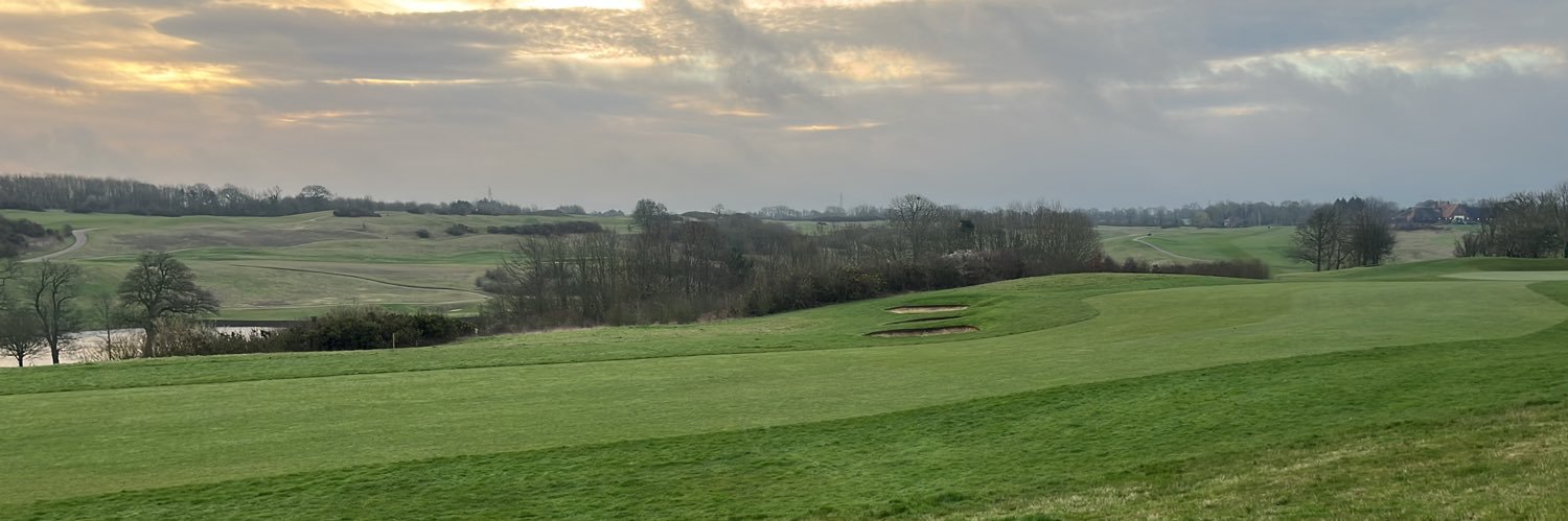 Lewis Mitchell banner