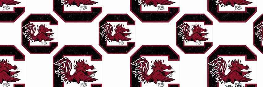 Old Row Carolina banner