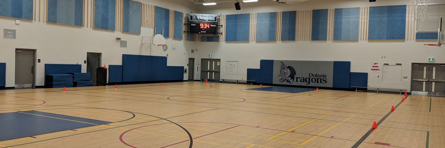 DolsonPhysEd's profile banner image