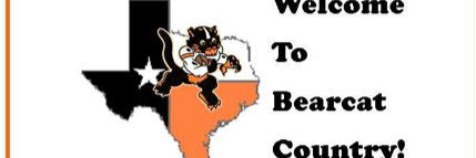 Aledo High School banner