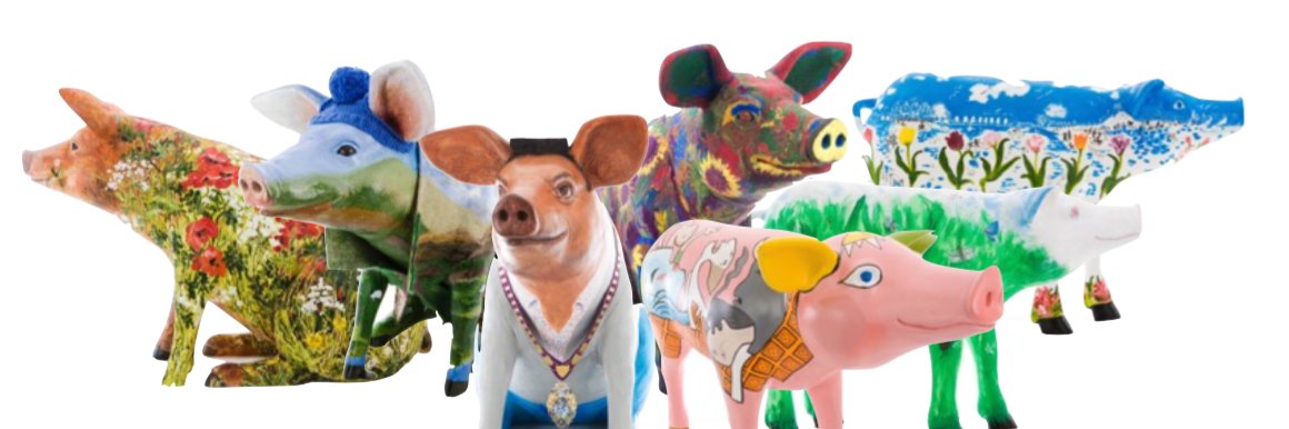 HaslemereHogs banner