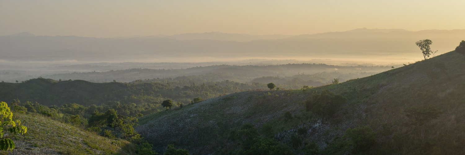 WandaOBrien's profile banner image