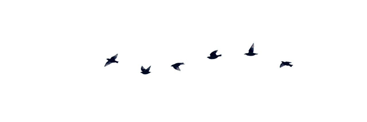 malakhassan7's profile banner image
