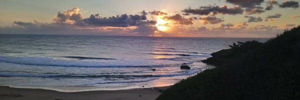 thesquirrel_za Profile Banner