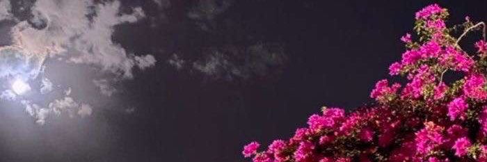 Nuvahmed's profile banner image