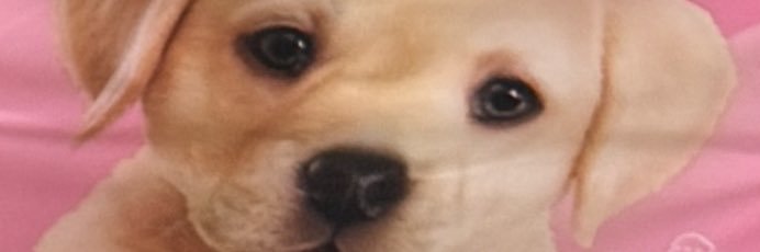 uiuiroubushi's profile banner image