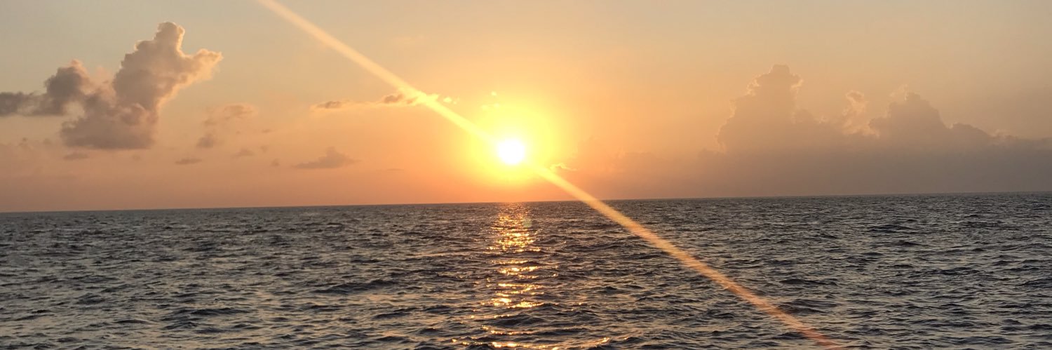 SymsMohamed's profile banner image
