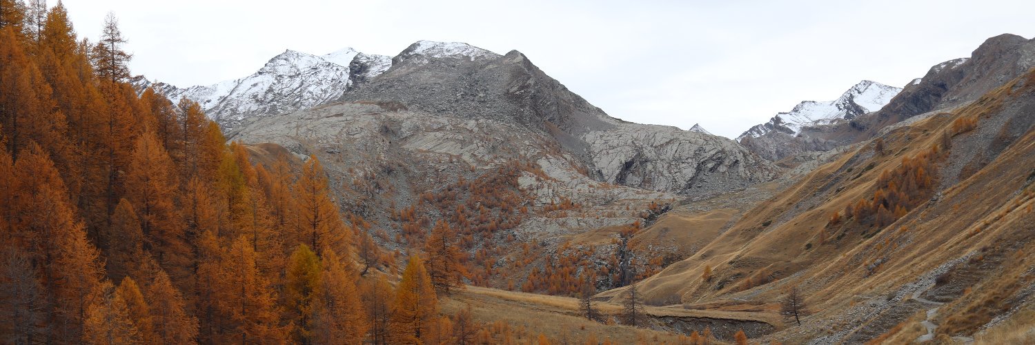 Antoine Michon banner