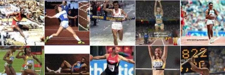 Ꭲ&ᖴ ᝪしᎩᗰᑭᏆᗩᗞ 🦜 ᴡᴏʀʟᴅᴡɪᴅᴇ ᴀᴛʜʟᴇᴛɪᴄs banner