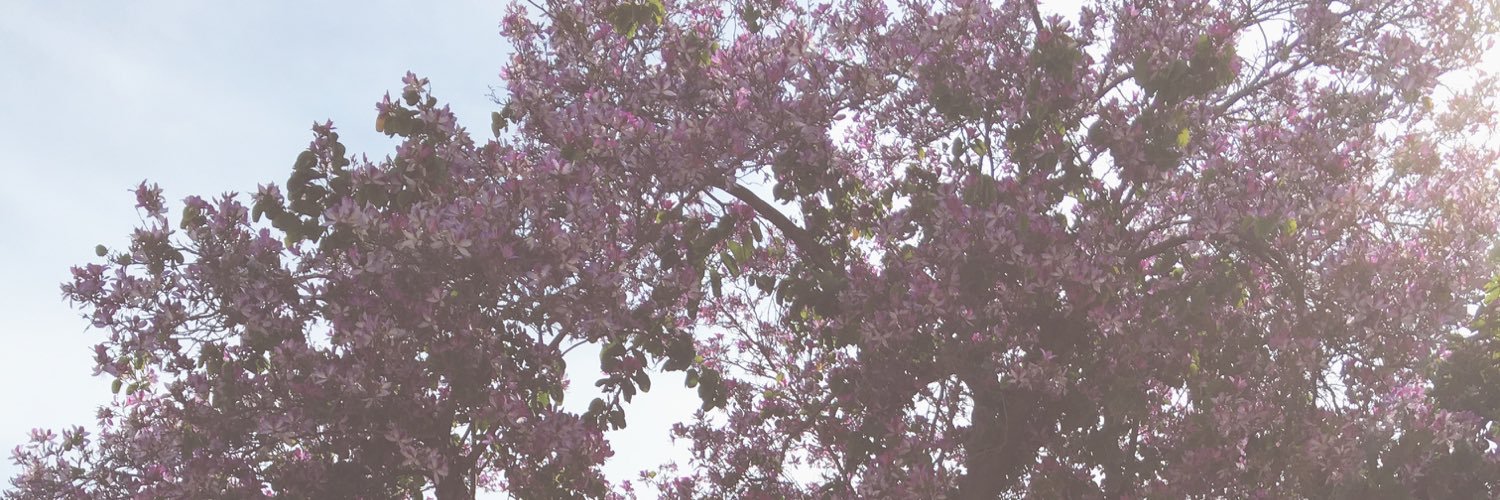 jenn_TOF's profile banner image