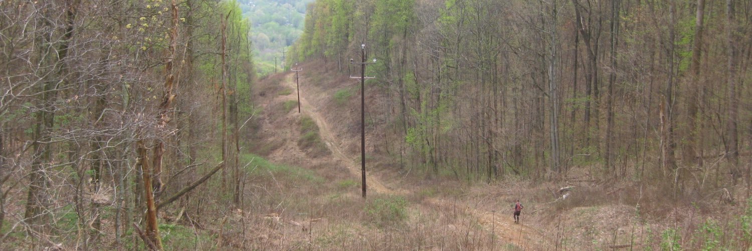 The Barkley Course banner