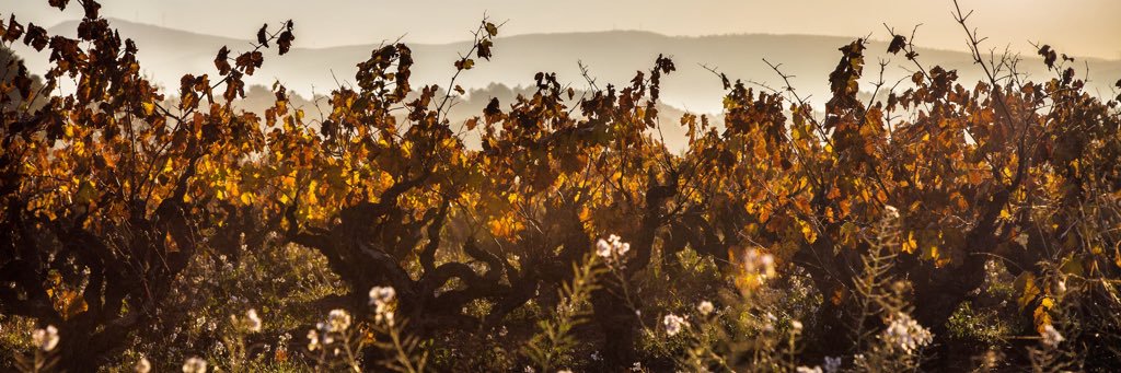 LOrigancava's profile banner image