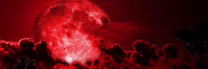 Neg81's profile banner image
