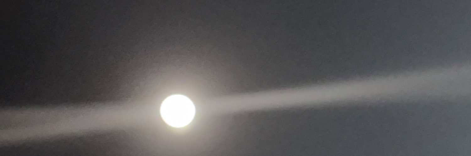 ms3ra3's profile banner image