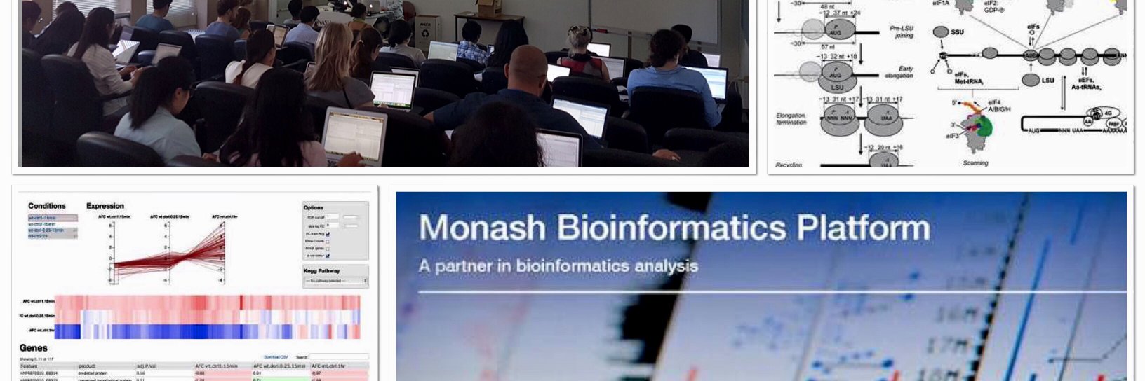 MonashBioinformatics banner