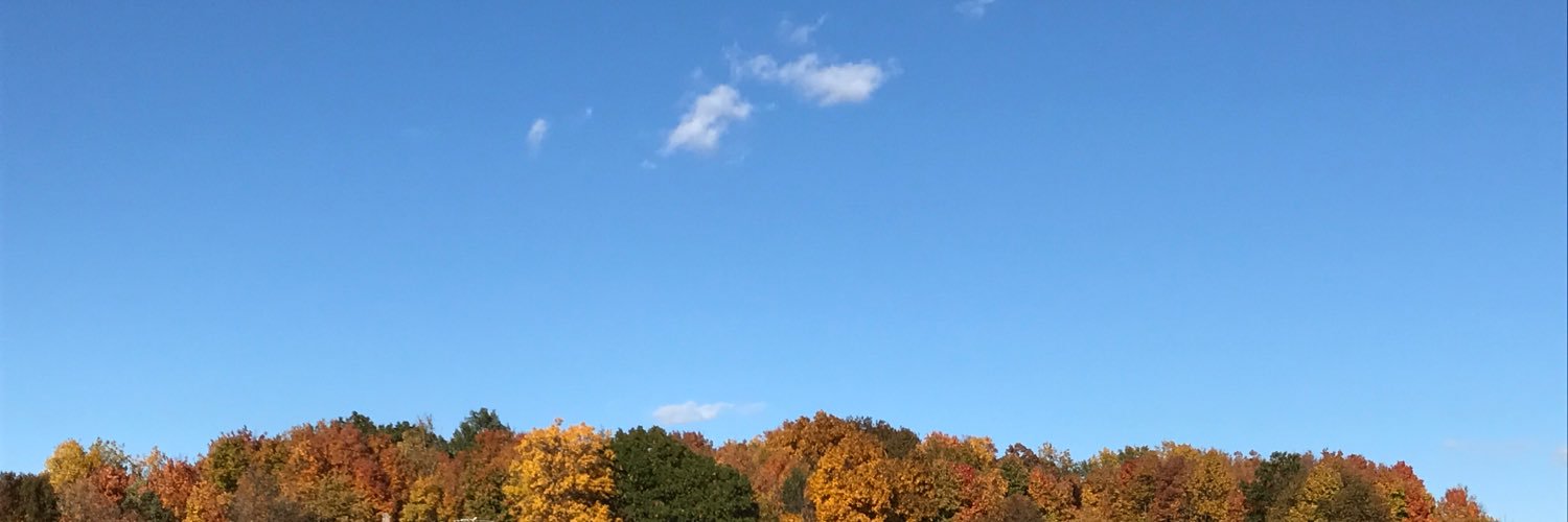AlexanneG07's profile banner image