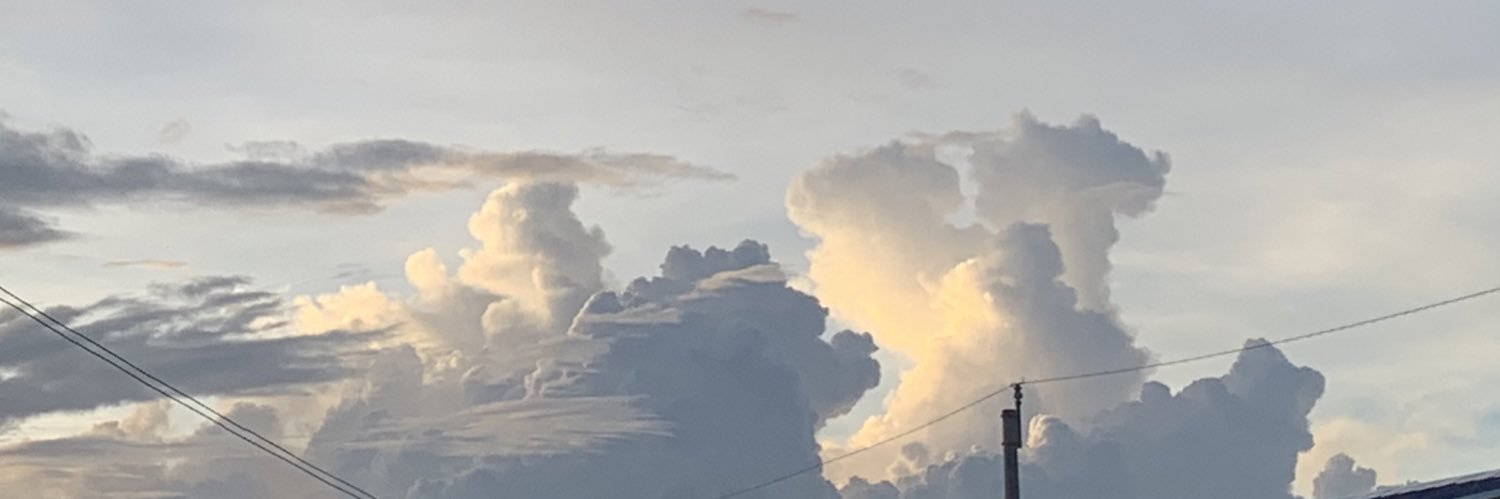 andrebicol's profile banner image