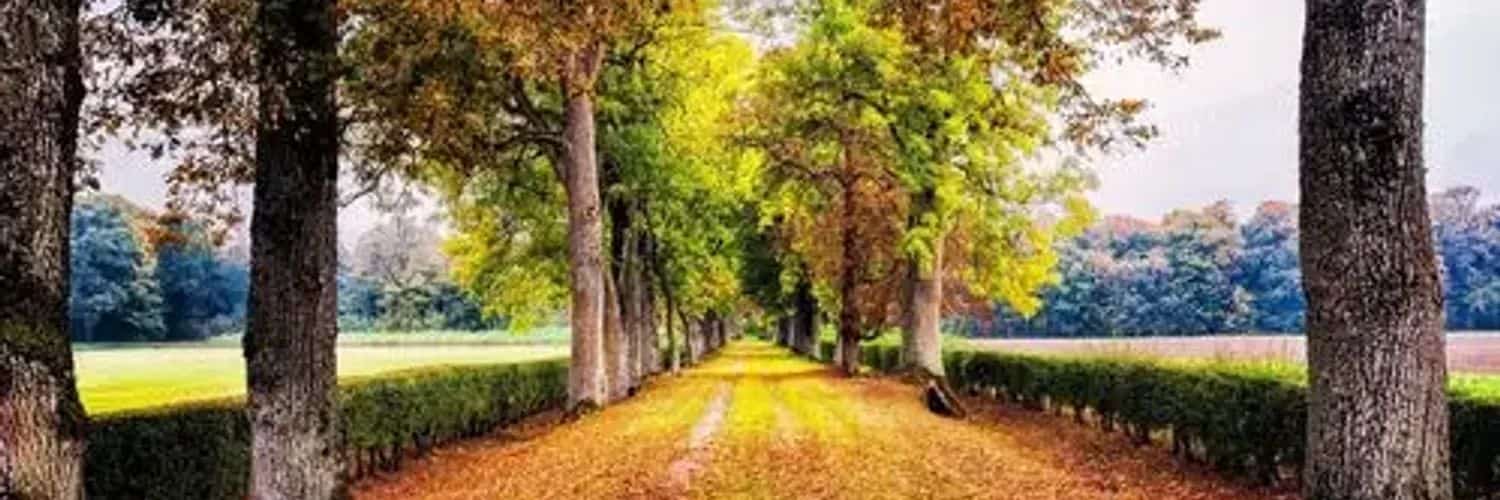Stephanie798's profile banner image