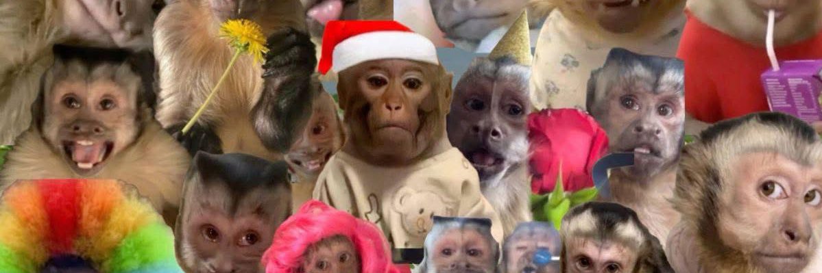 Andrea out of context banner