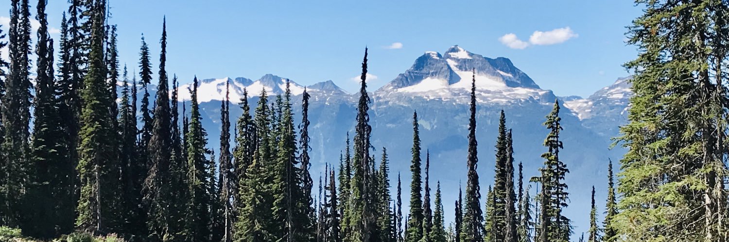 MSchoutrop's profile banner image