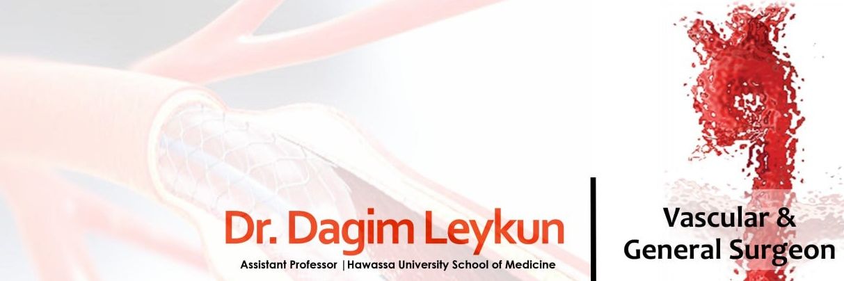 Dagim Leykun's banner