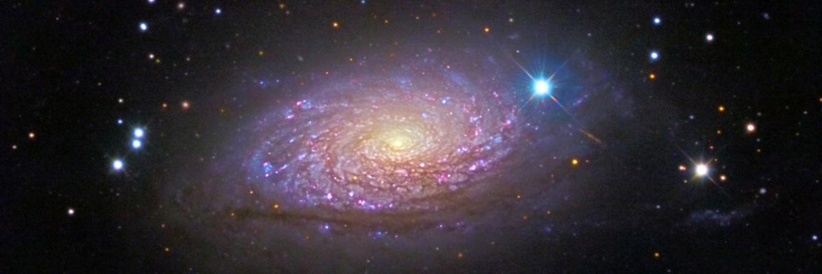 Morosescope's profile banner image