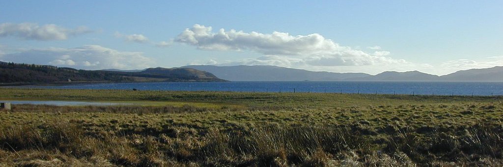 Michael Kavate banner