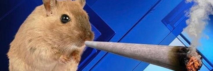 TheMatsku's profile banner image
