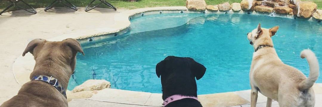 LeighCosta's profile banner image