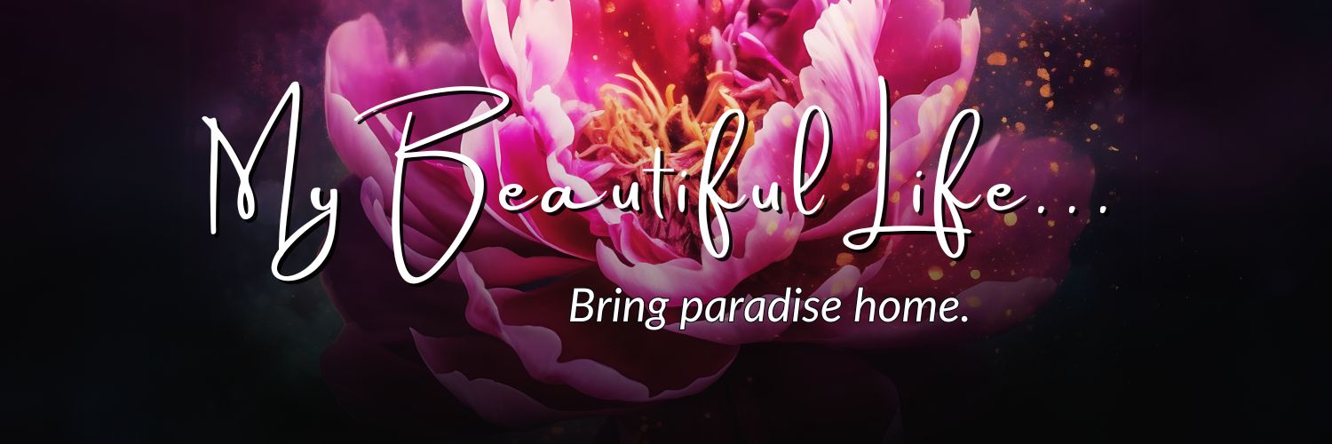 HICeeCee| My Beautiful Life banner