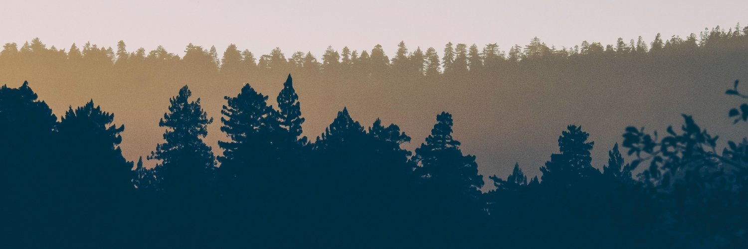 Lorenz Kitzmann banner