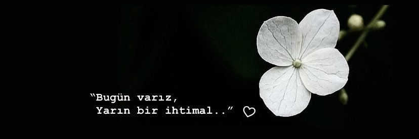 nurr_badee's profile banner image