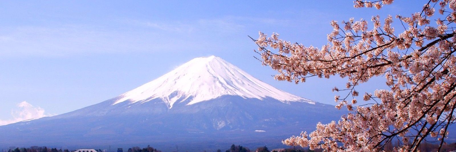 HamaKitama's profile banner image