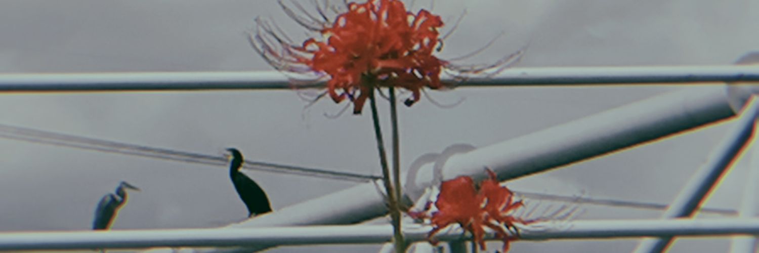 🌅5/6西1オ17a banner