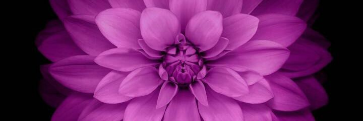 Quotes_n__Notes's profile banner image