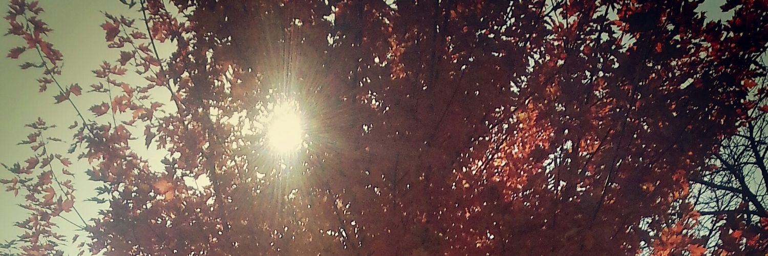 piscesillusion's profile banner image