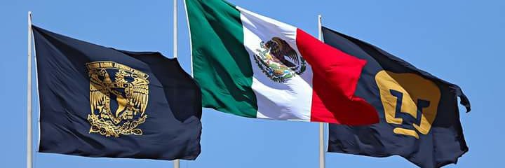 alegrerebelde's profile banner image
