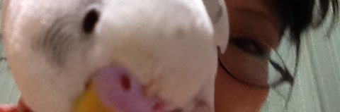 児嶋 住職 banner