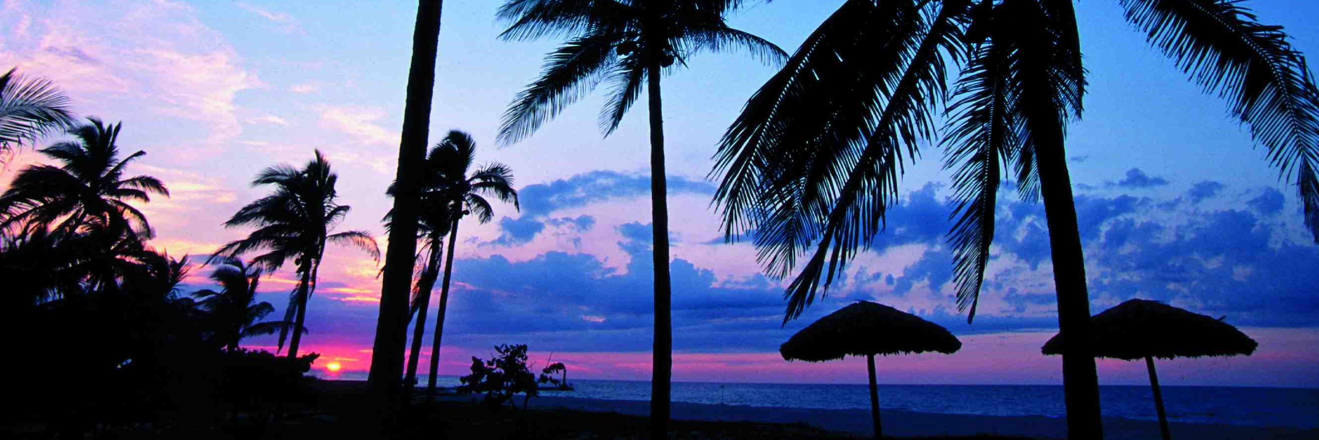 Jara_Frances's profile banner image