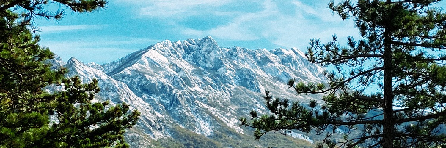 Dmitry Chestnykh ☮️ banner