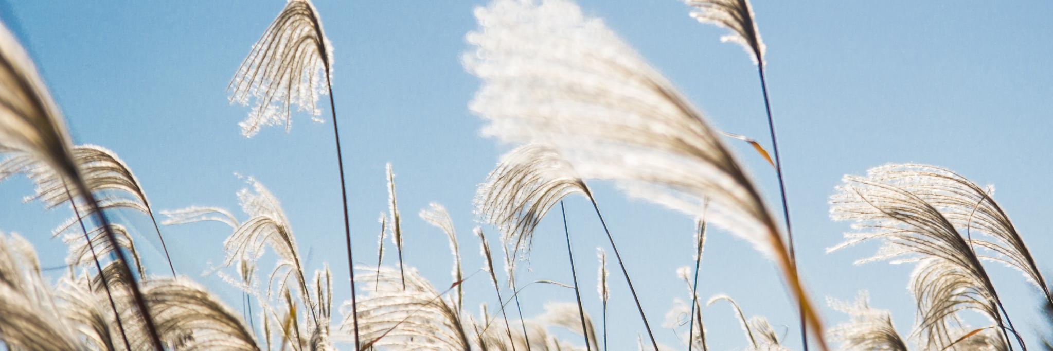 henrysrydnt's profile banner image